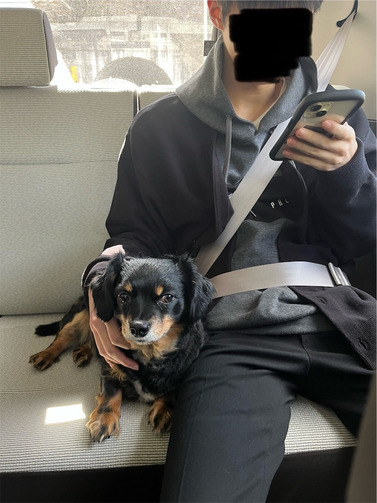 f:id:goukakuigakubu:20250403102847j:image