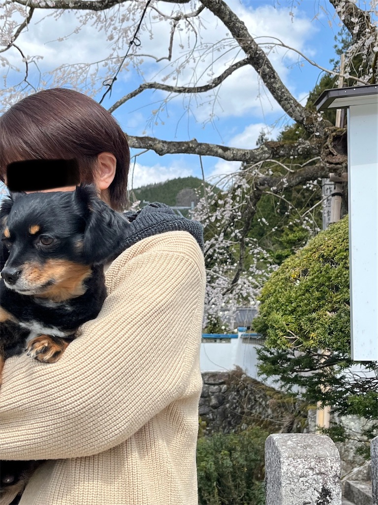 f:id:goukakuigakubu:20250406094600j:image