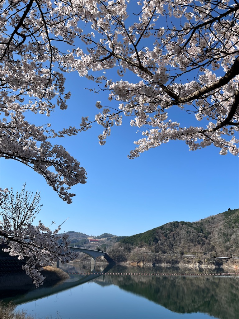f:id:goukakuigakubu:20250412221405j:image