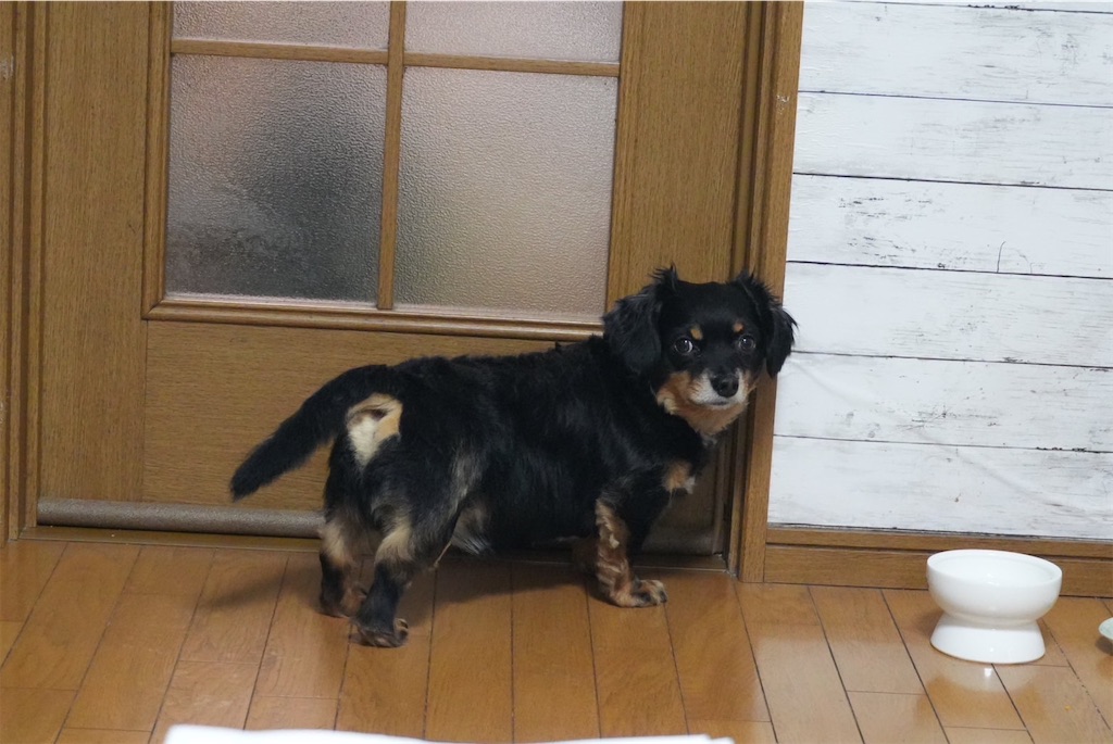 f:id:goukakuigakubu:20250415091310j:image f:id:goukakuigakubu:20250415091310j:image