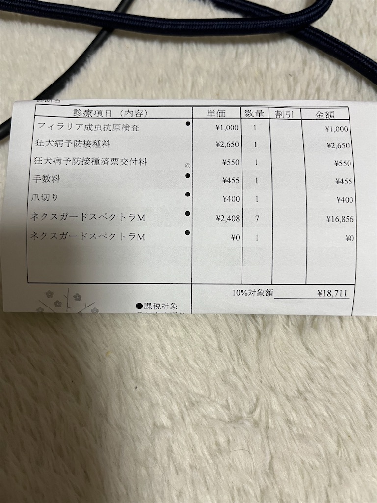 f:id:goukakuigakubu:20250430173344j:image