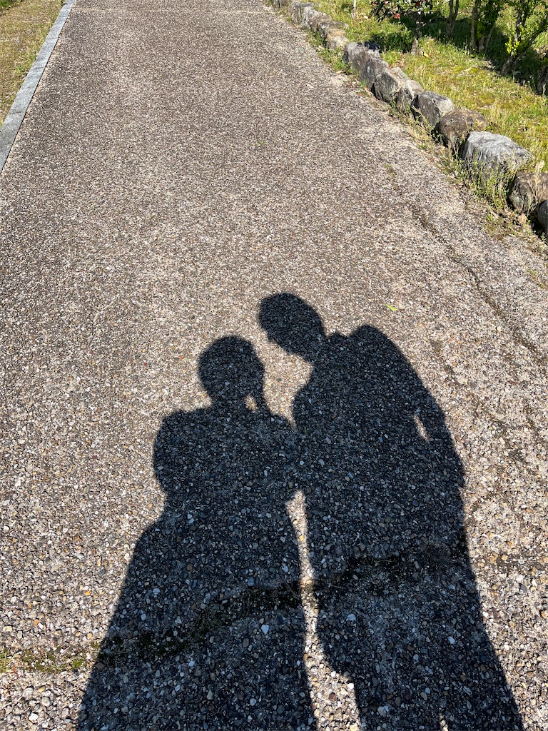 f:id:goukakuigakubu:20250502091036j:image