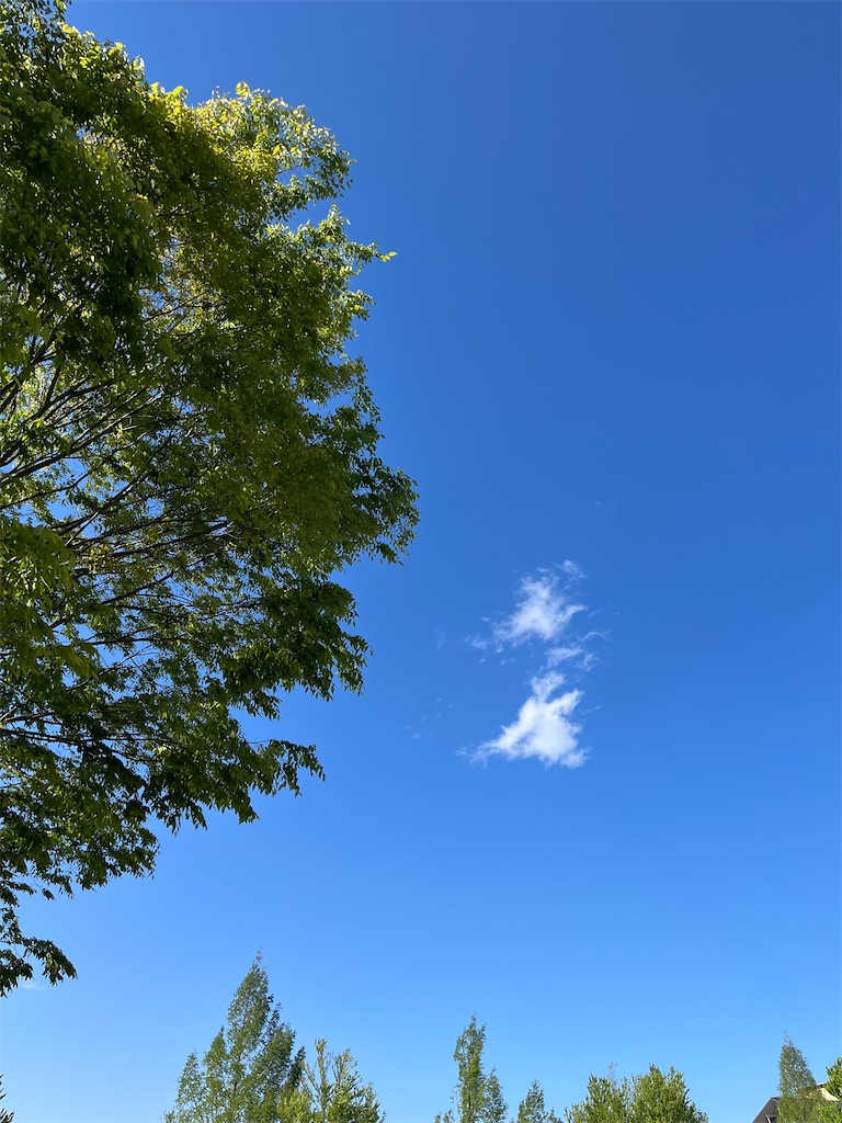 f:id:goukakuigakubu:20250502091446j:image