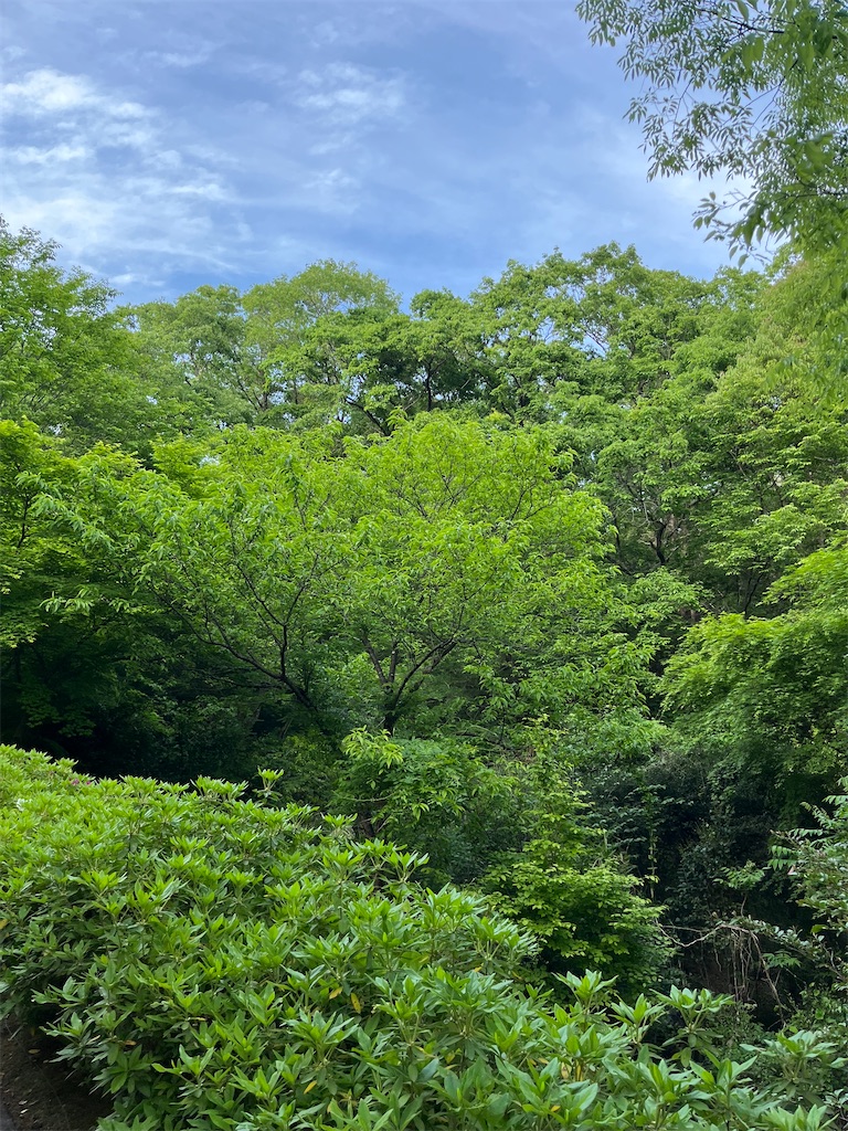 f:id:goukakuigakubu:20250506090824j:image