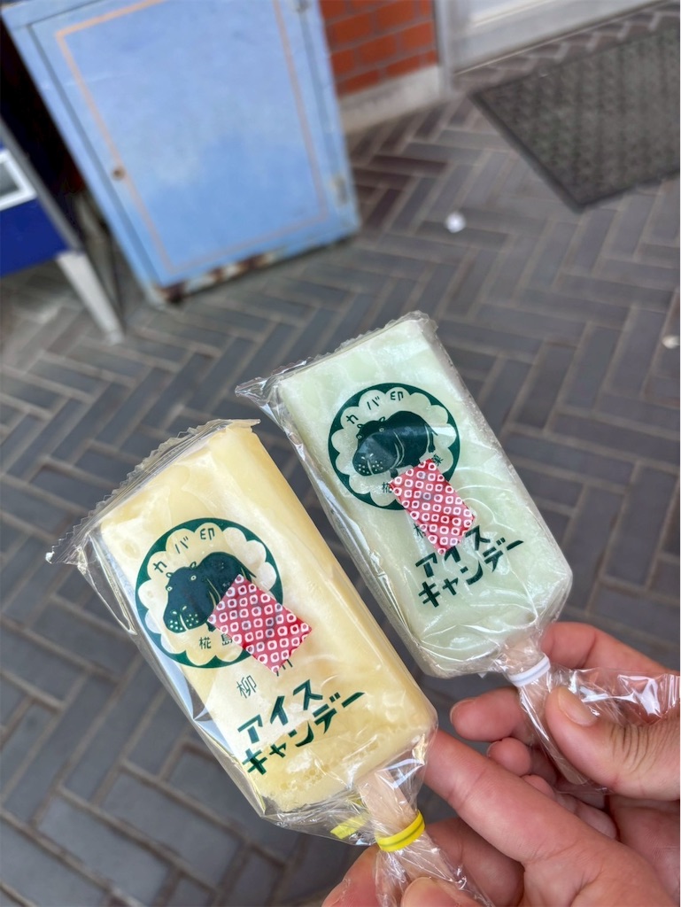 f:id:goukakuigakubu:20250506092134j:image