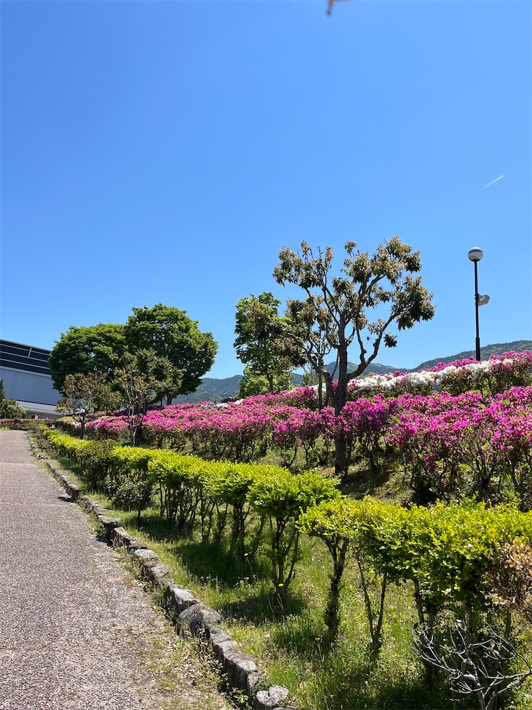 f:id:goukakuigakubu:20250513161401j:image