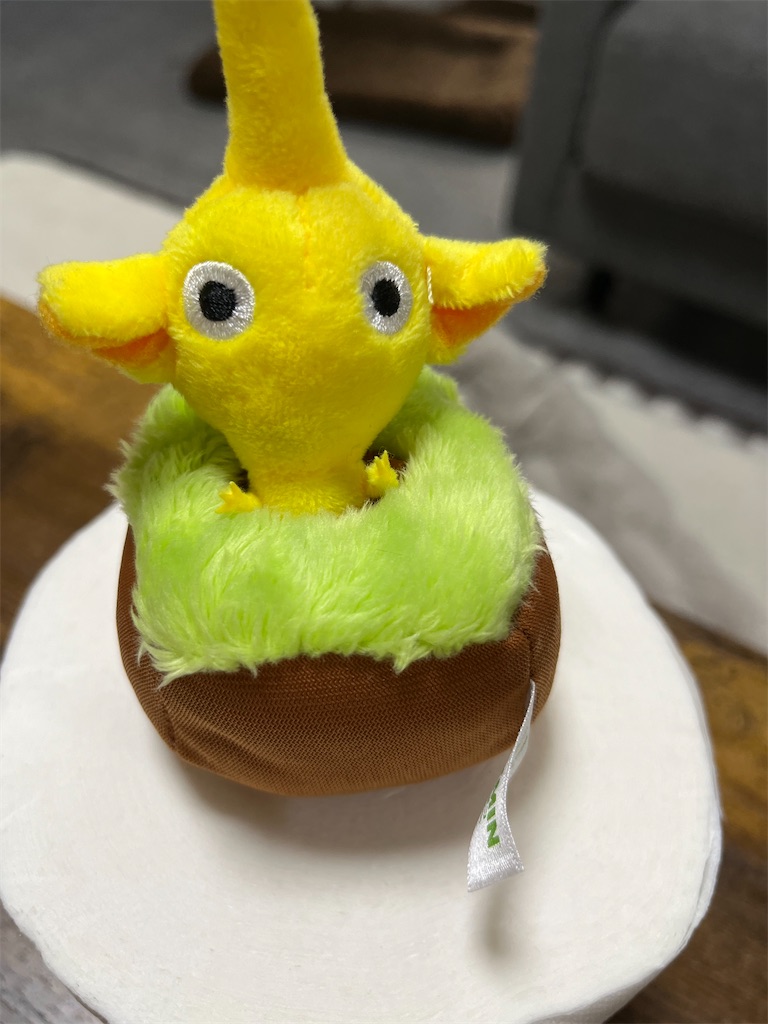 f:id:goukakuigakubu:20250515120936j:image