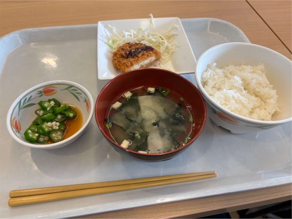 f:id:goukakuigakubu:20250522083015j:image