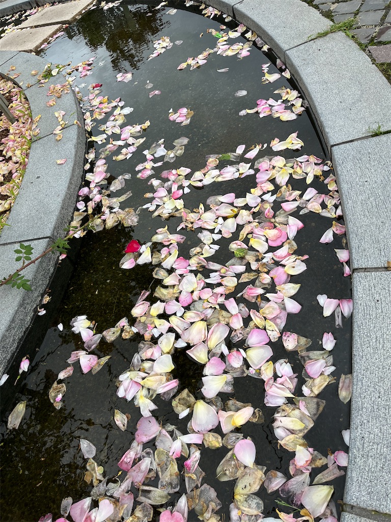 f:id:goukakuigakubu:20250530191222j:image