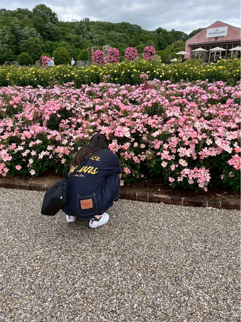 f:id:goukakuigakubu:20250530193433j:image