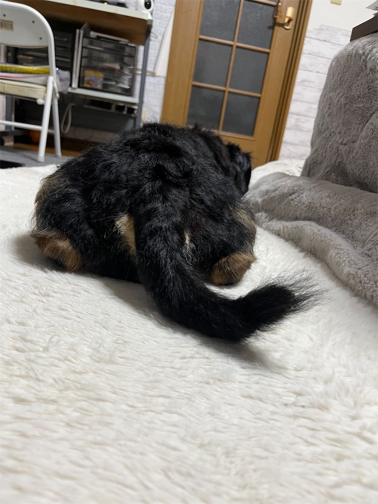 f:id:goukakuigakubu:20250530220622j:image