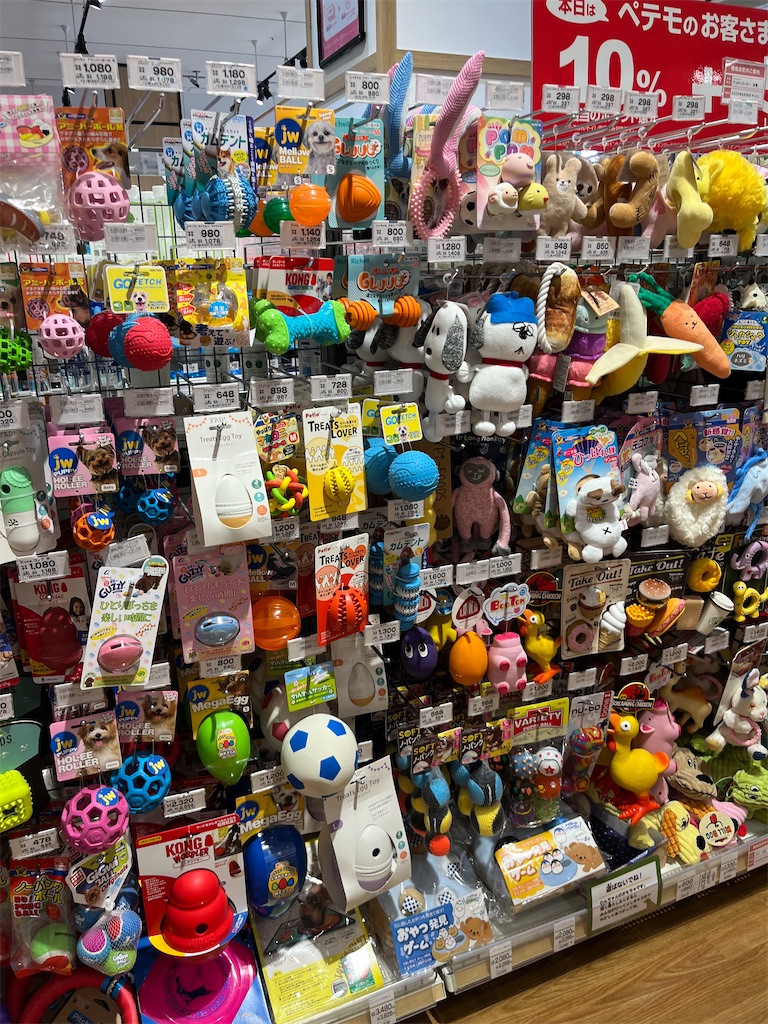 f:id:goukakuigakubu:20250604100448j:image
