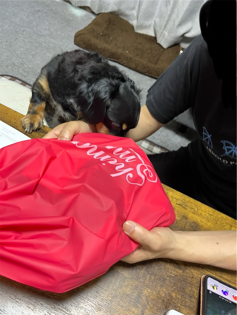 f:id:goukakuigakubu:20250616093747j:image