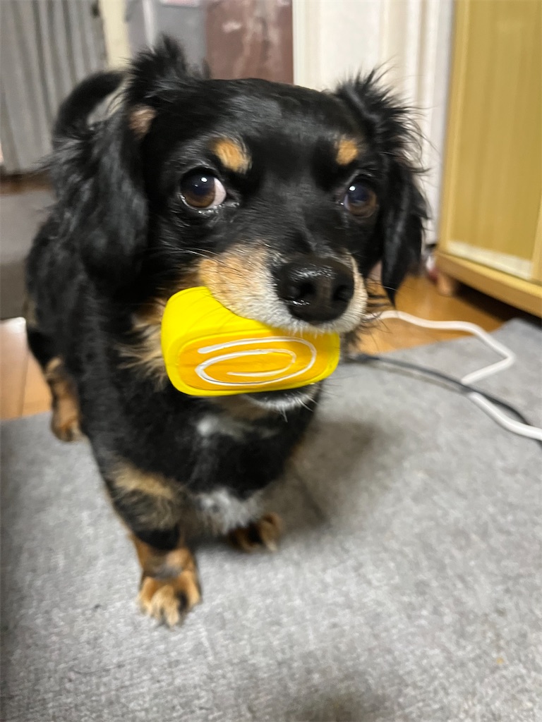 f:id:goukakuigakubu:20250621132838j:image