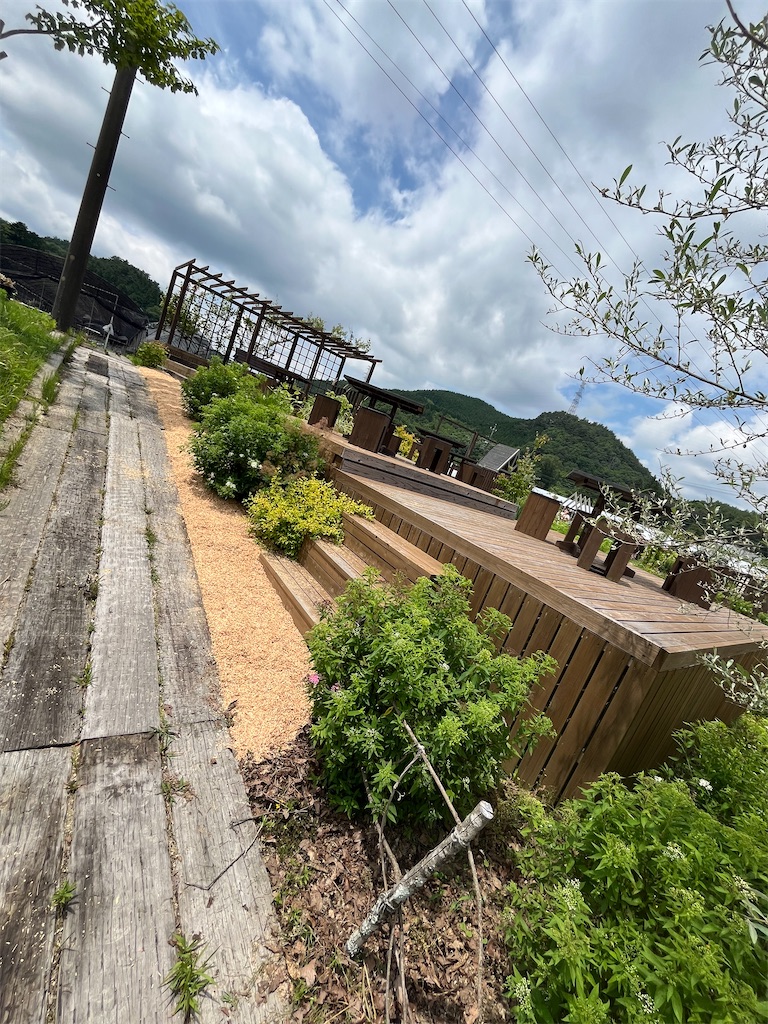 f:id:goukakuigakubu:20250621133100j:image
