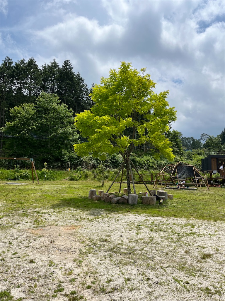f:id:goukakuigakubu:20250621133252j:image