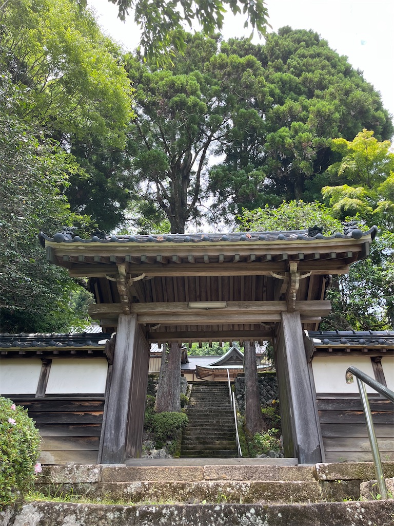 f:id:goukakuigakubu:20250622110355j:image
