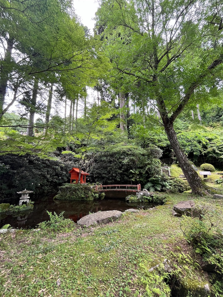 f:id:goukakuigakubu:20250622111002j:image