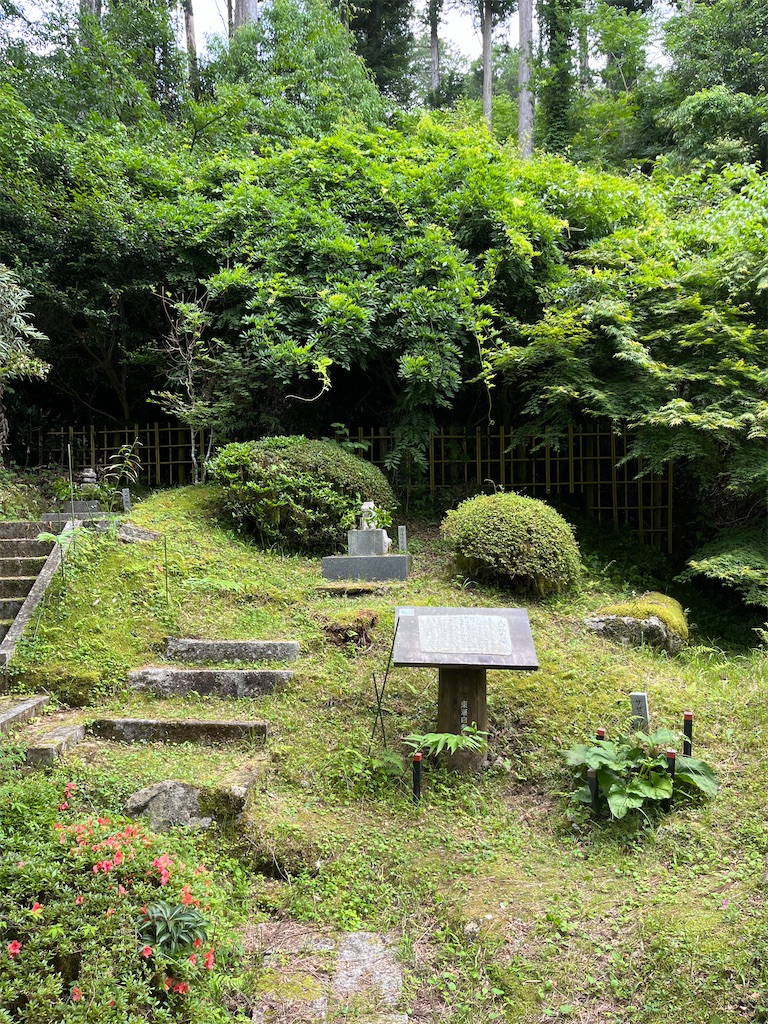 f:id:goukakuigakubu:20250622135231j:image