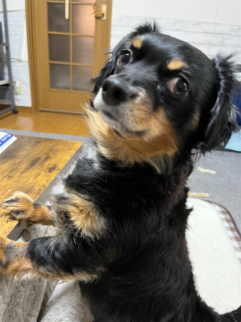 f:id:goukakuigakubu:20250622135659j:image