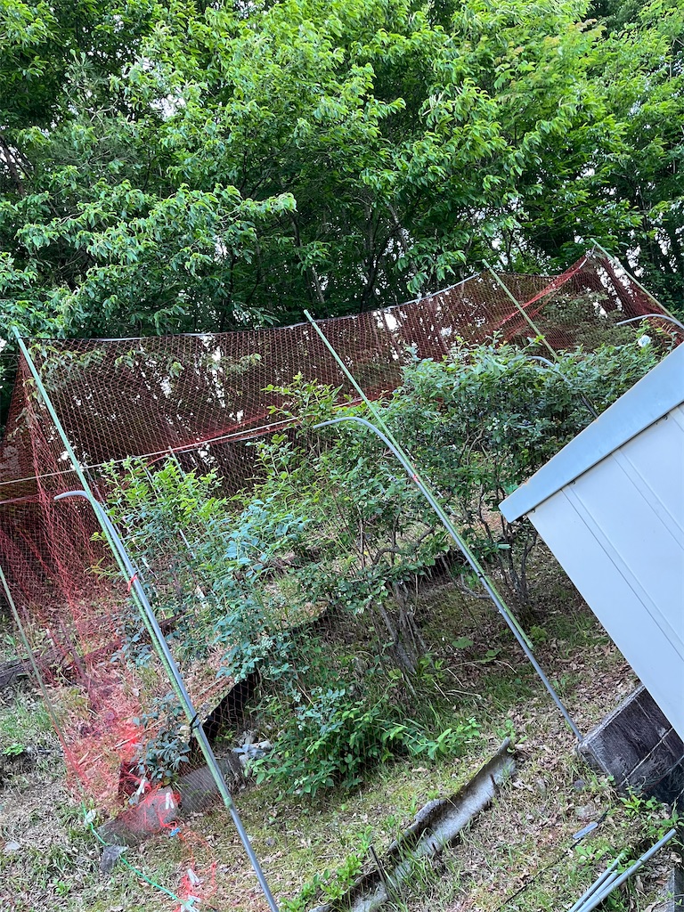 f:id:goukakuigakubu:20250624123214j:image