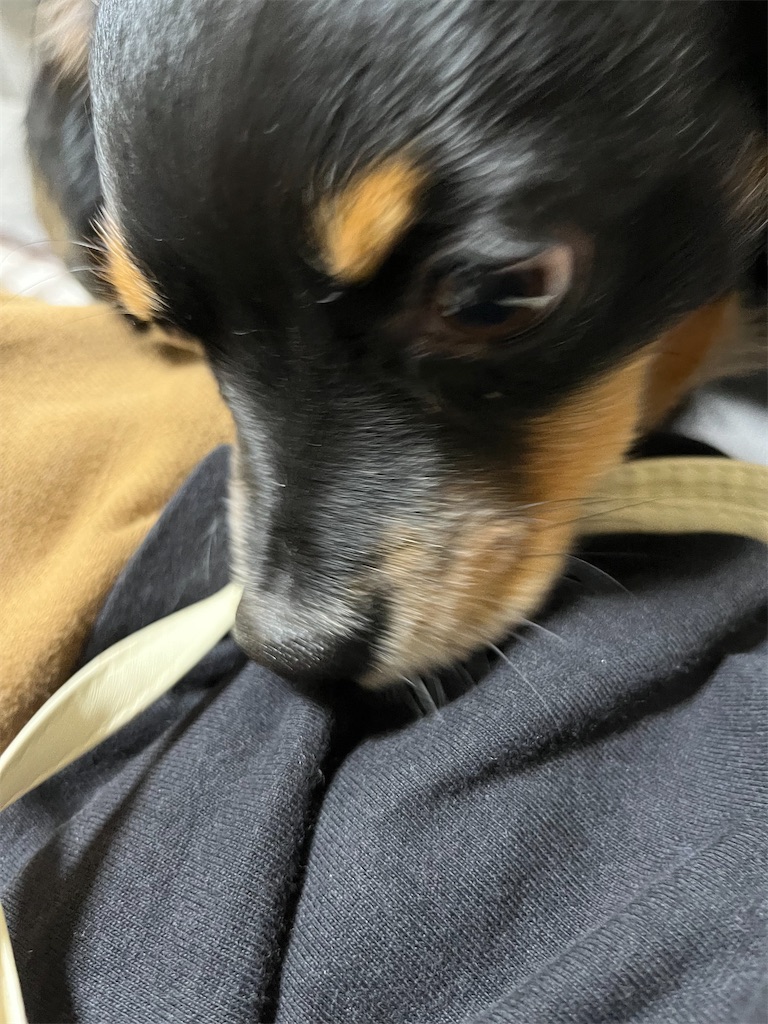 f:id:goukakuigakubu:20250625072446j:image
