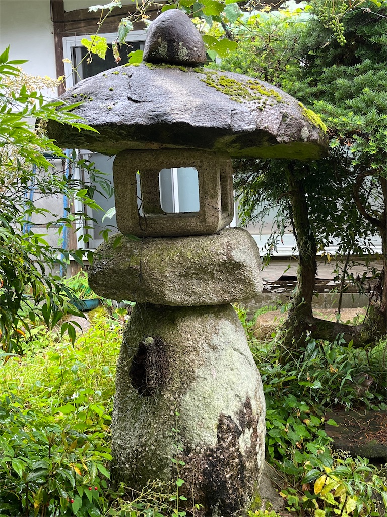 f:id:goukakuigakubu:20250625073241j:image