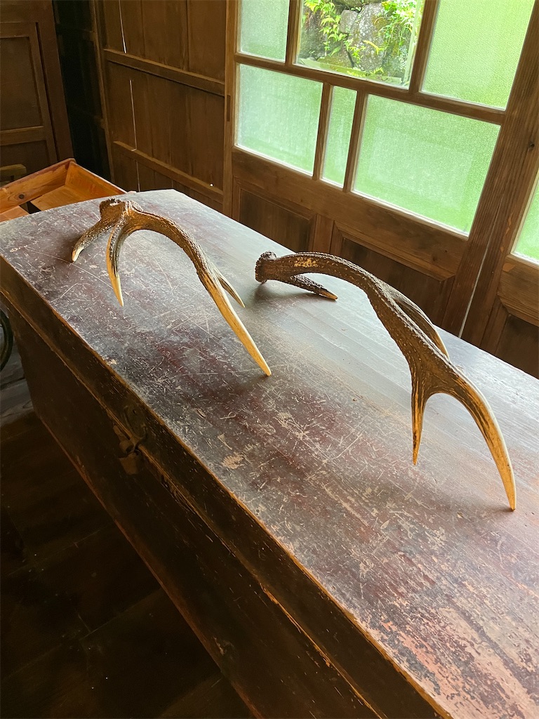 f:id:goukakuigakubu:20250626190008j:image