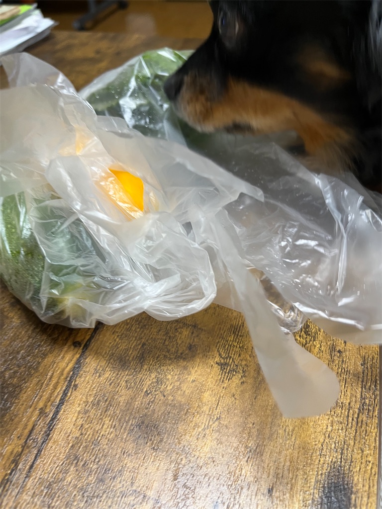 f:id:goukakuigakubu:20250626205759j:image