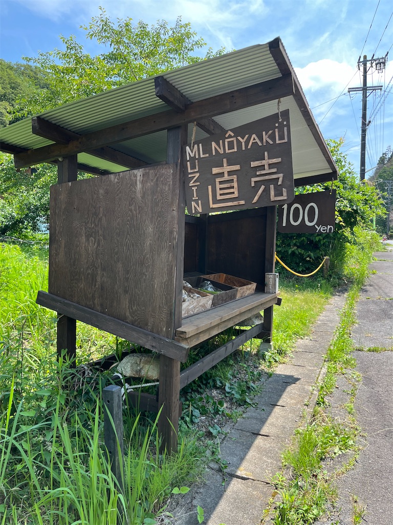 f:id:goukakuigakubu:20250629164536j:image