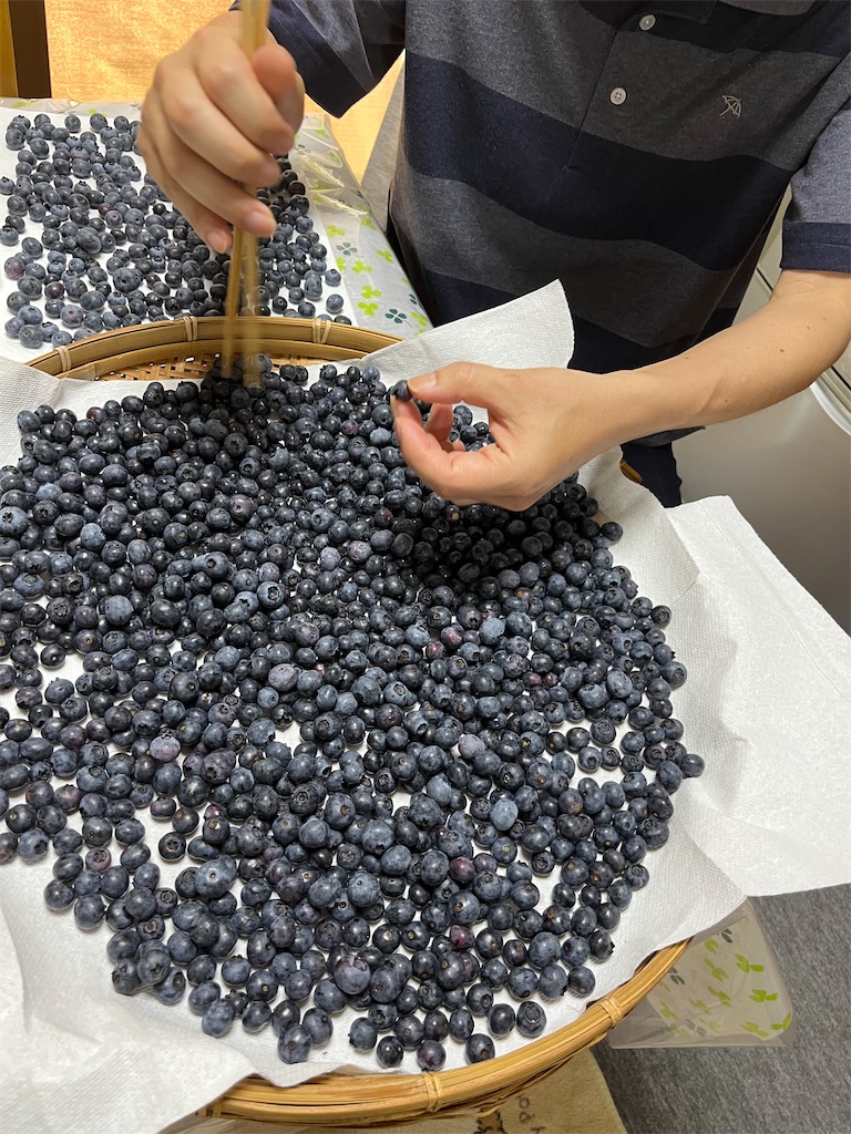 f:id:goukakuigakubu:20250629165905j:image
