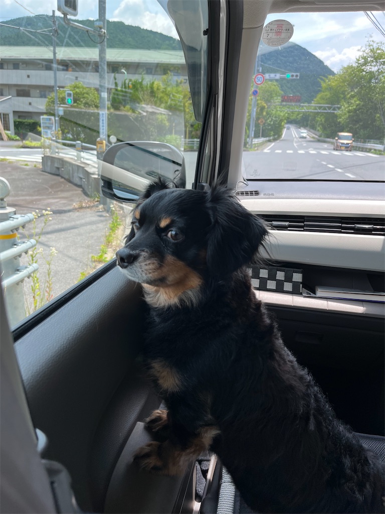 f:id:goukakuigakubu:20250630204631j:image