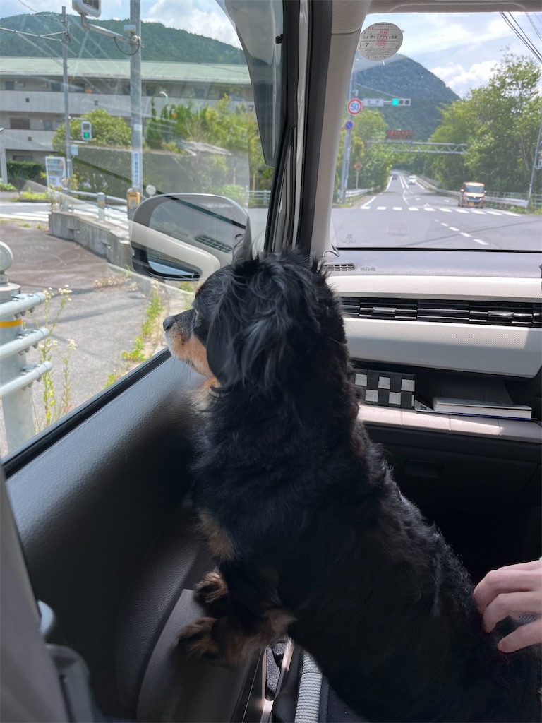 f:id:goukakuigakubu:20250630204635j:image