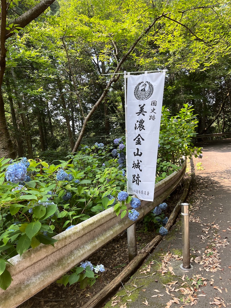 f:id:goukakuigakubu:20250705224911j:image