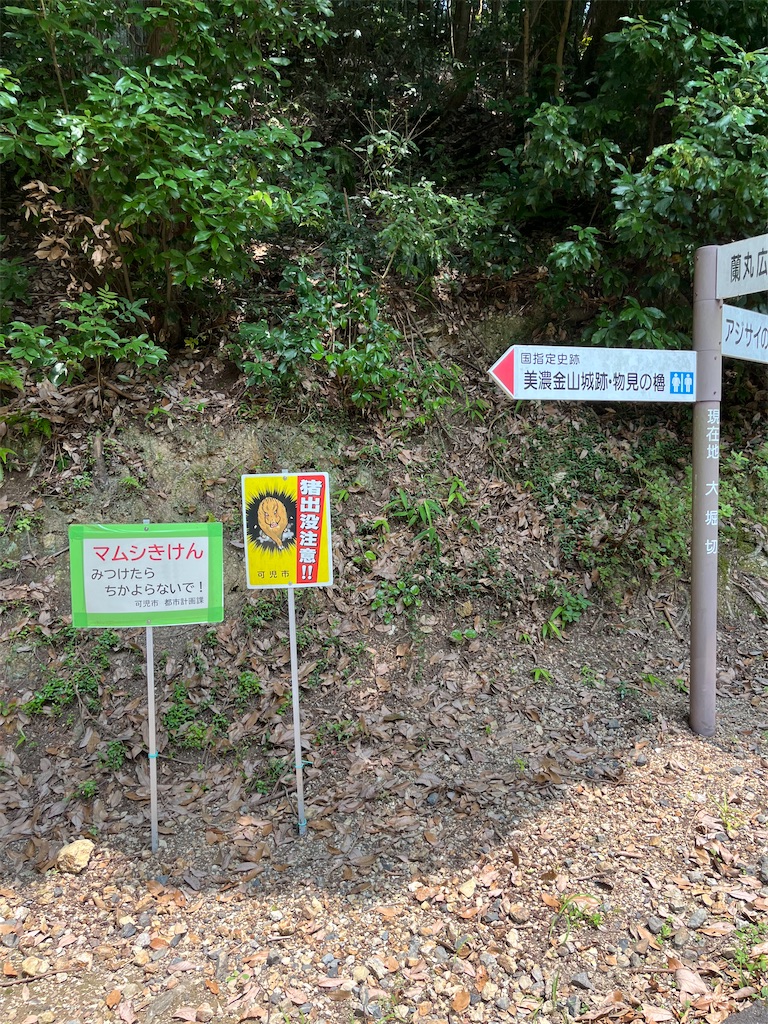 f:id:goukakuigakubu:20250705230010j:image