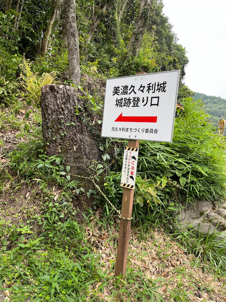 f:id:goukakuigakubu:20250705231504j:image