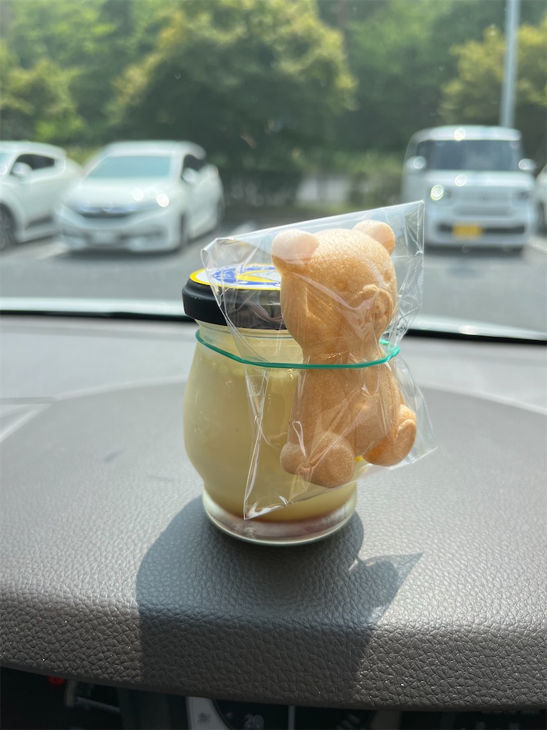 f:id:goukakuigakubu:20250708072130j:image