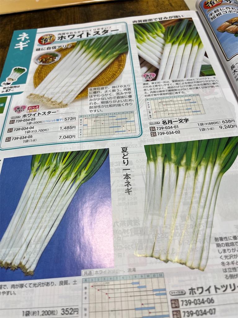 f:id:goukakuigakubu:20250711121120j:image