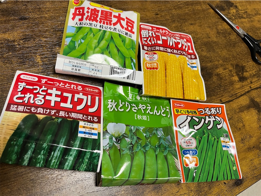 f:id:goukakuigakubu:20250712152251j:image