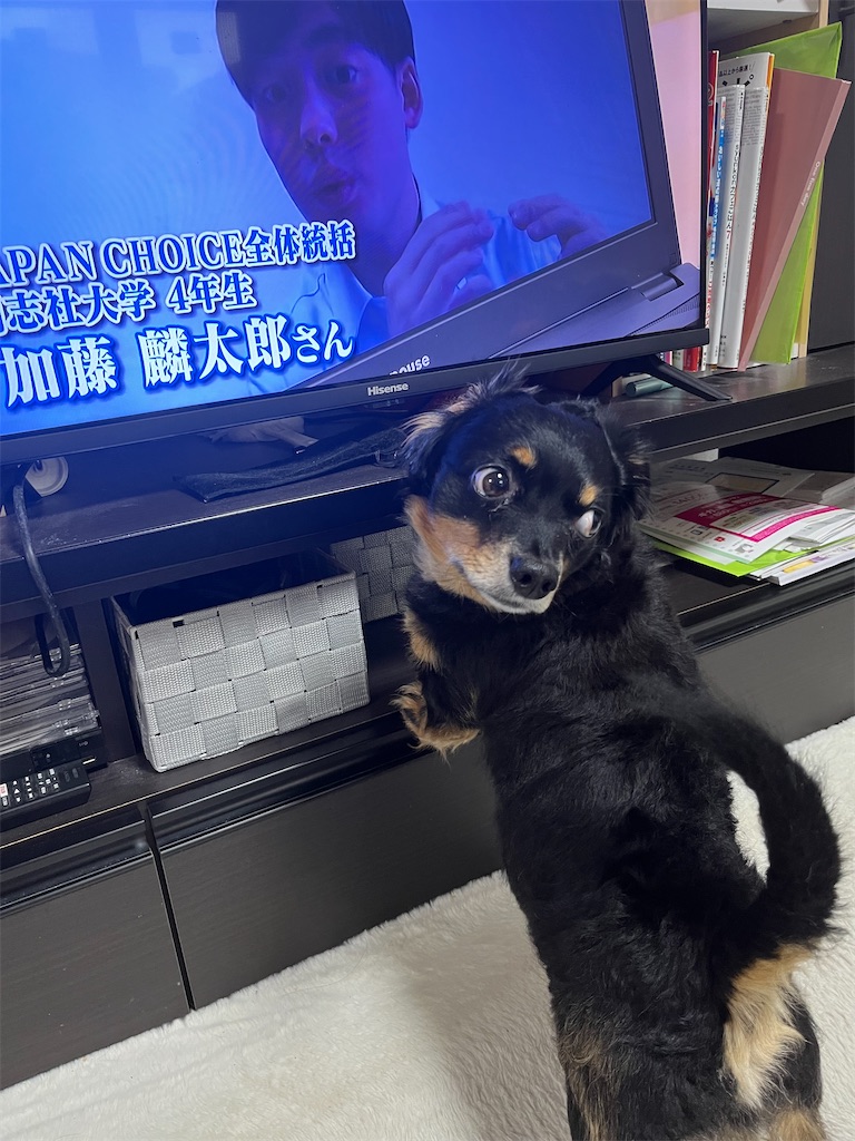f:id:goukakuigakubu:20250718104441j:image f:id:goukakuigakubu:20250718104441j:image