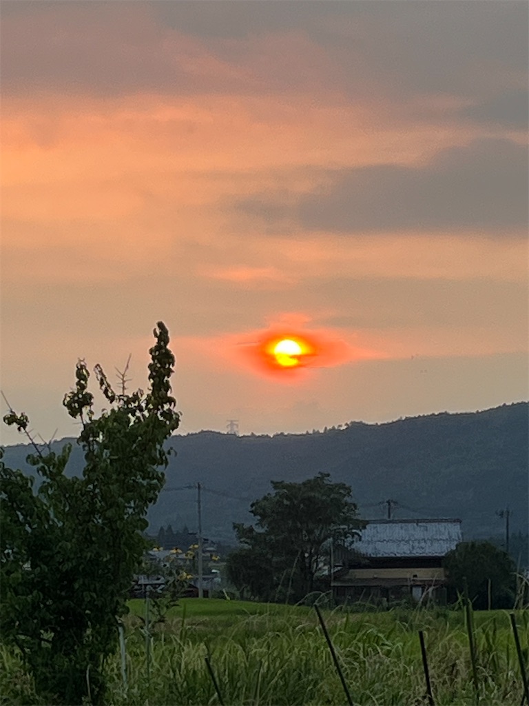 f:id:goukakuigakubu:20250801131417j:image