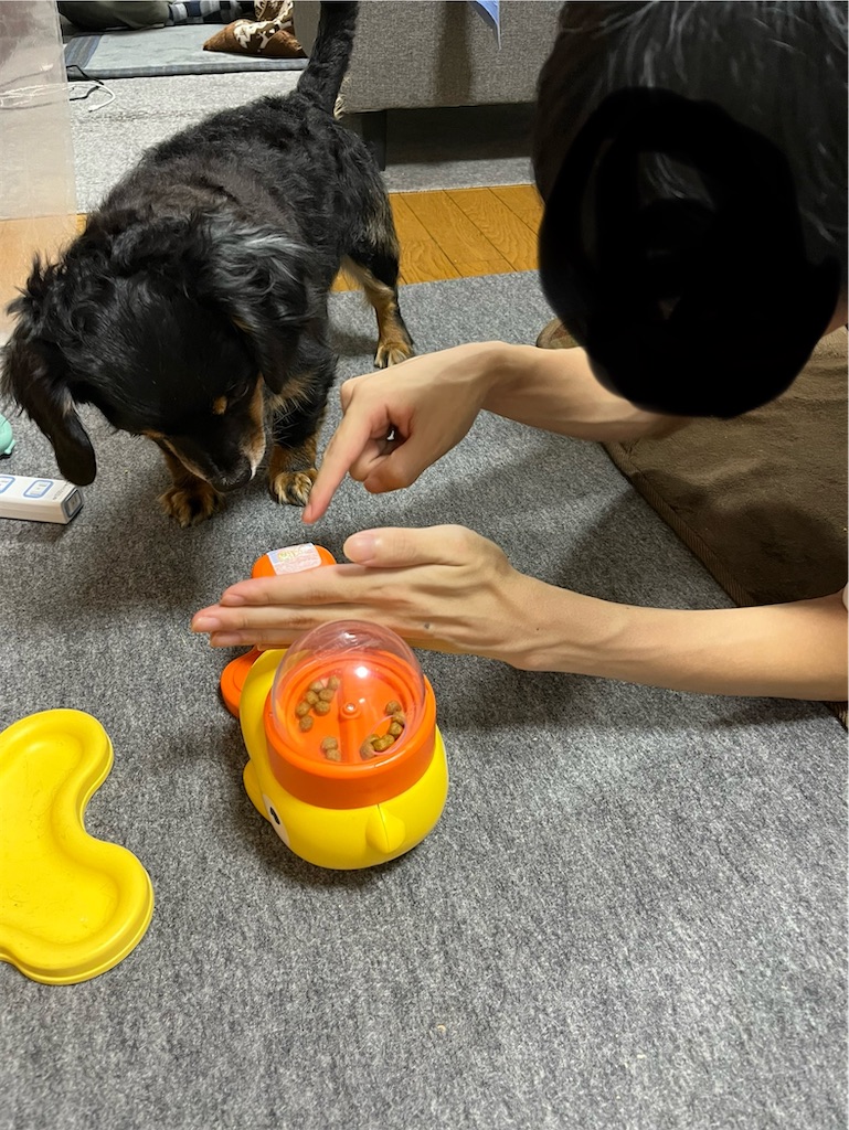 f:id:goukakuigakubu:20250814190227j:image