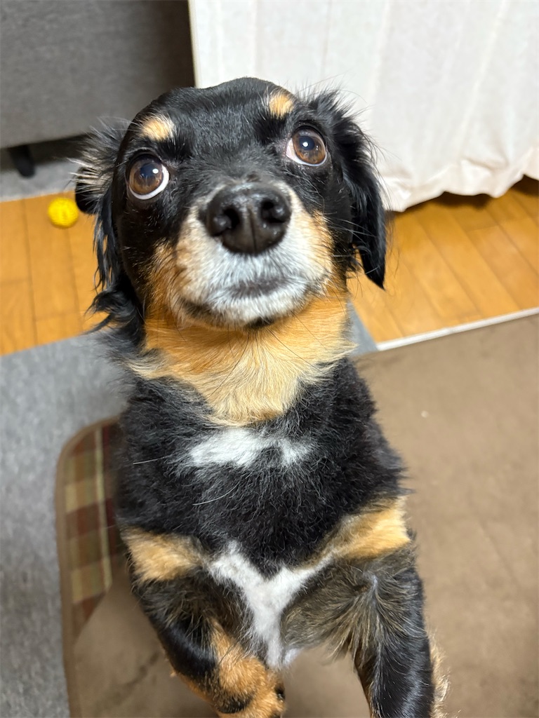 f:id:goukakuigakubu:20251002163709j:image