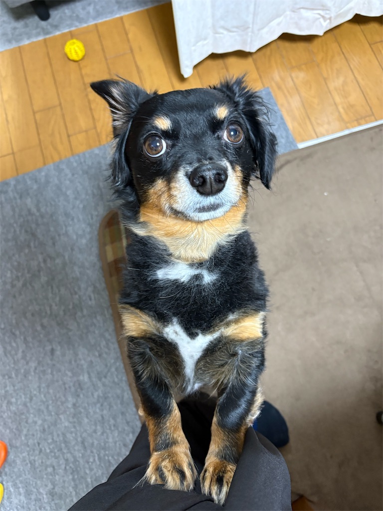 f:id:goukakuigakubu:20251002163713j:image