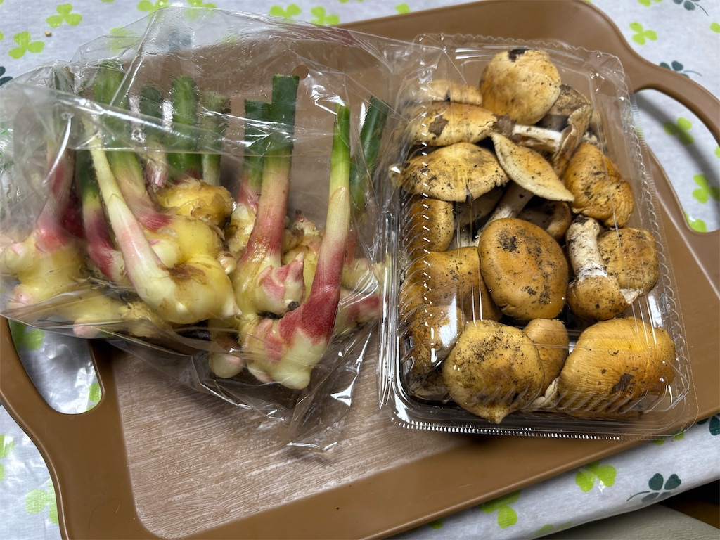 f:id:goukakuigakubu:20251016171852j:image
