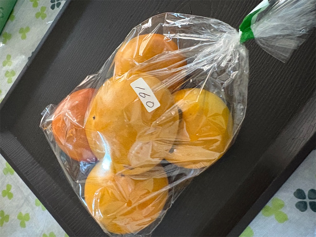 f:id:goukakuigakubu:20251029102902j:image