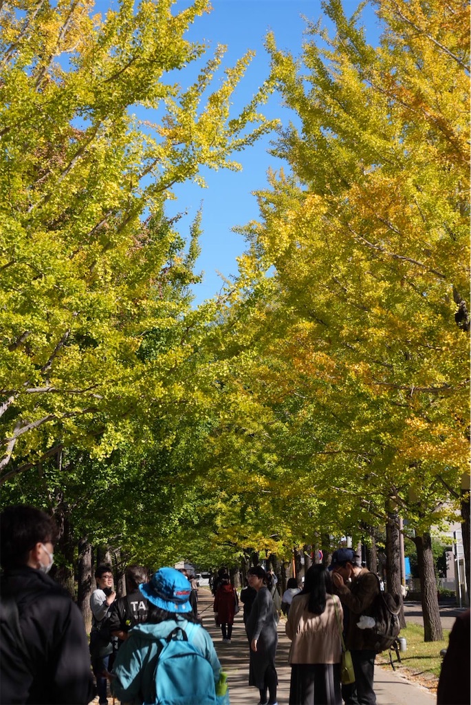 f:id:goukakuigakubu:20251110180021j:image