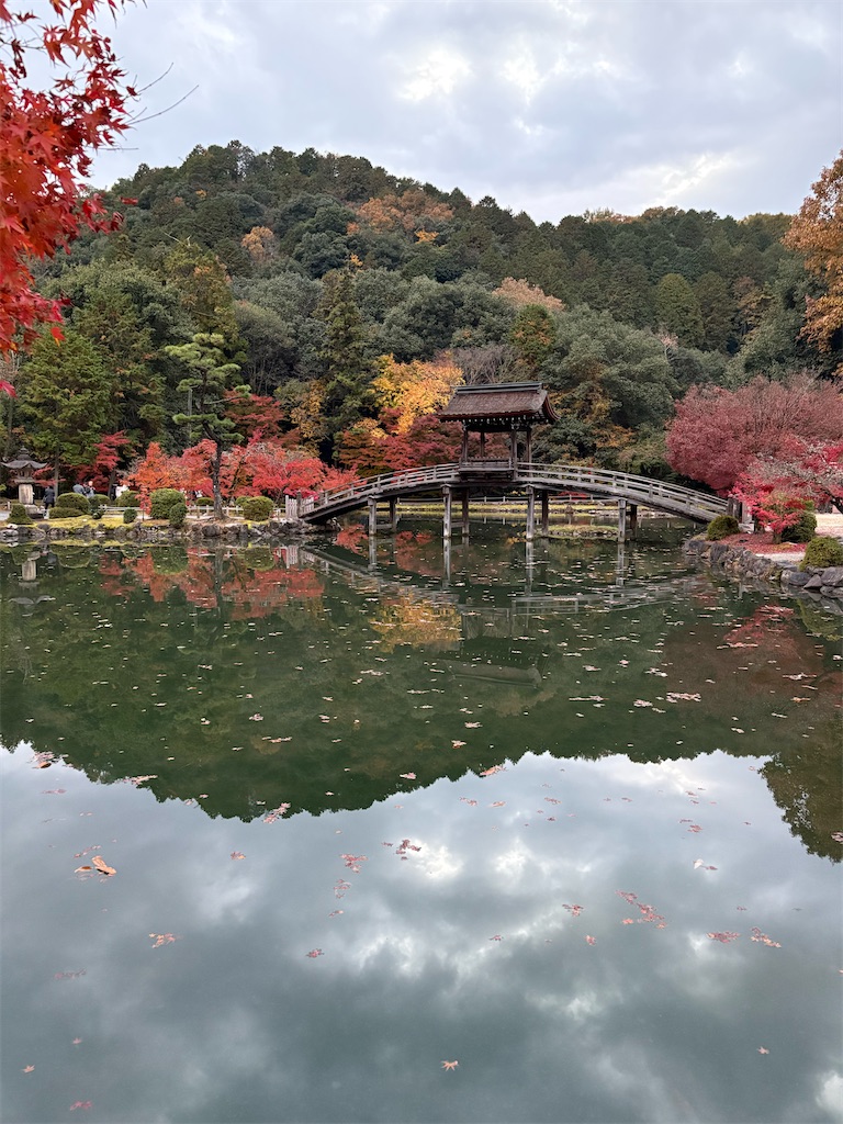 f:id:goukakuigakubu:20251122200024j:image
