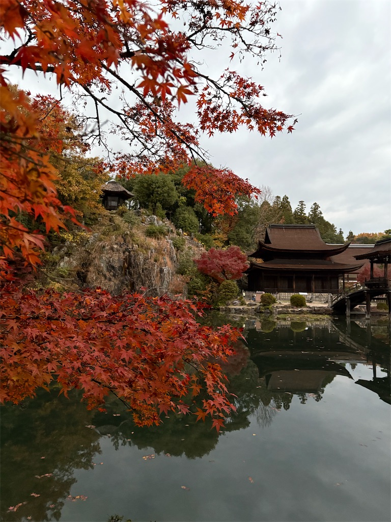 f:id:goukakuigakubu:20251122200027j:image