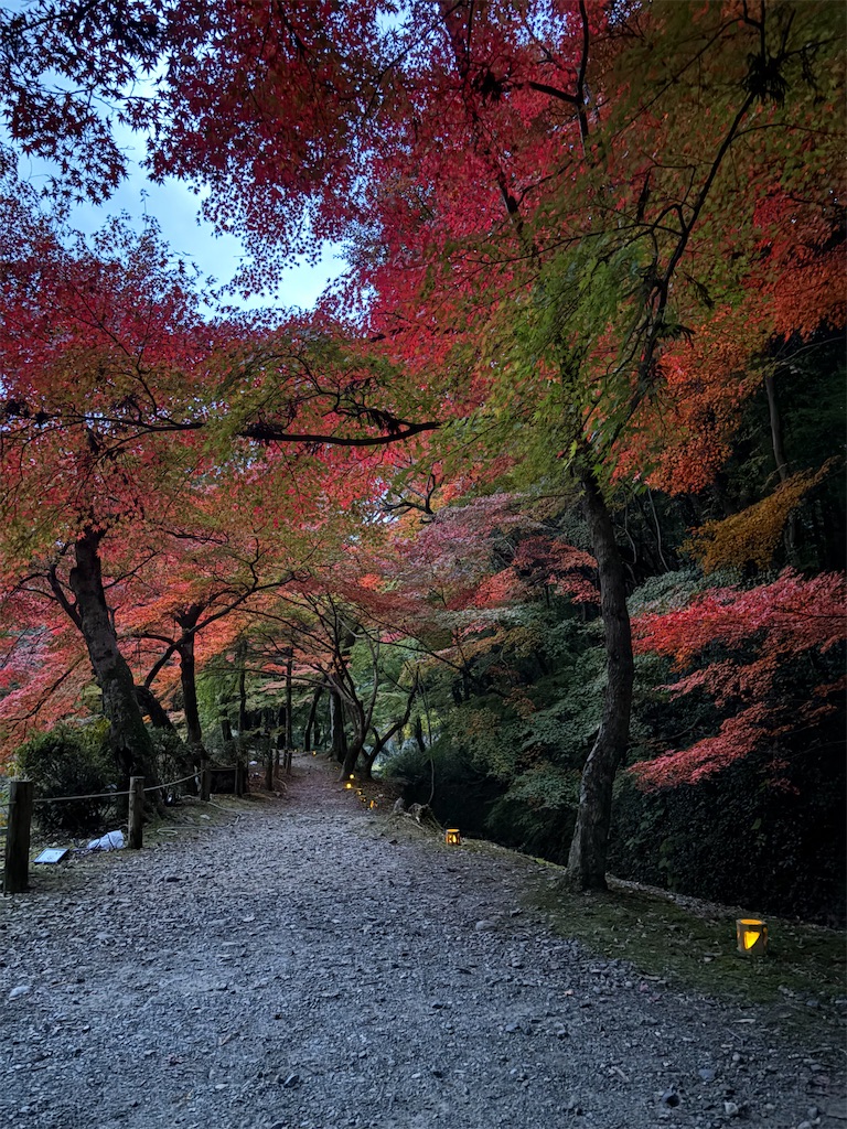 f:id:goukakuigakubu:20251122200030j:image